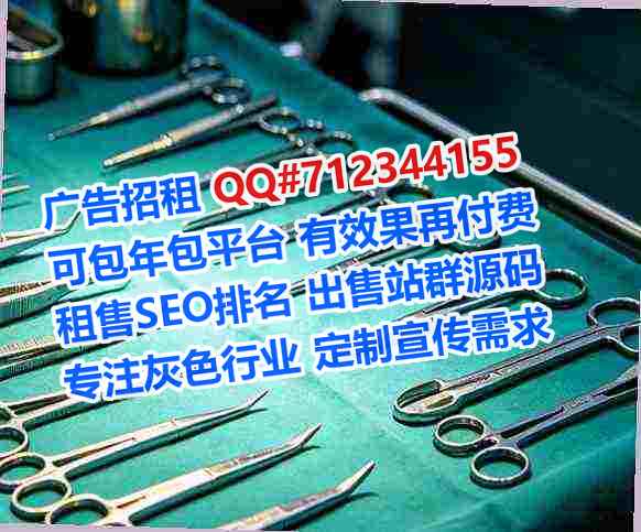 名山借腹生子箱包公司